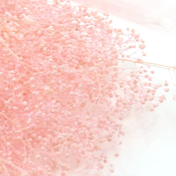 ¤�� ���륯�ե� �إ��եȥ��������