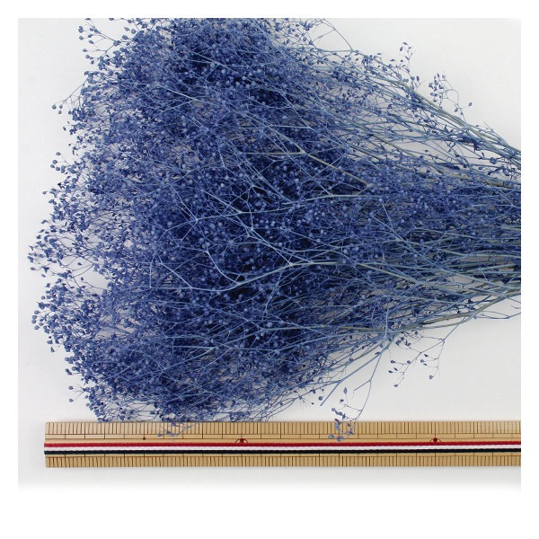 プリザーブドフラワー 『ソフトミニカスミ草 コバルトブルー 00010-681