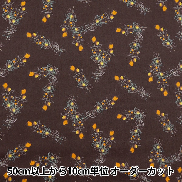 1_000000155378.jpg?1715829395