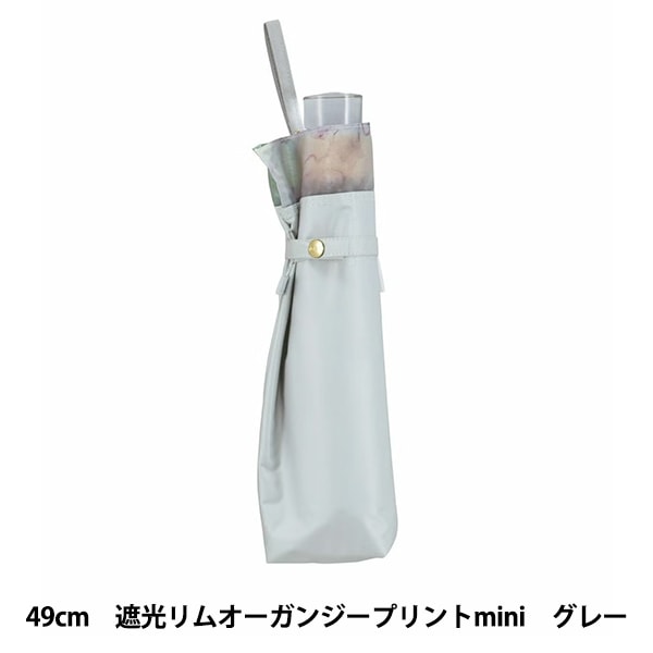 �� �������� �׸���४�����󥸡��ץ���mini ���졼 801-17457-102��