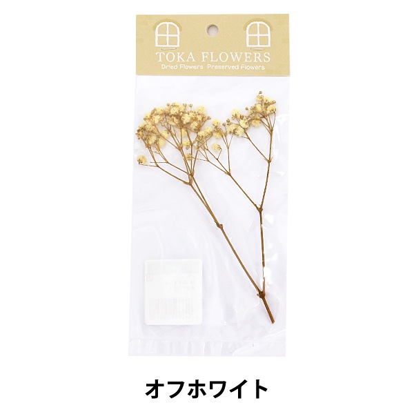 プリザーブドフラワー 『ソフトかすみ草 オフホワイト 約1g