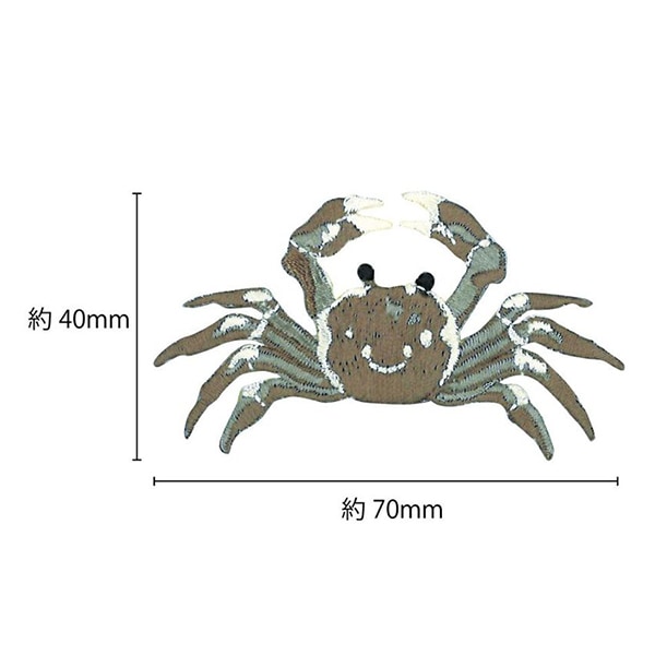 2_000000064479.jpg?1678209902