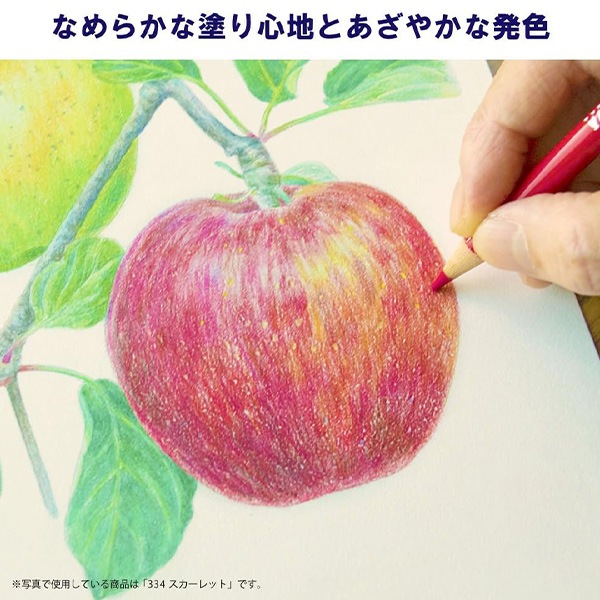 鉛筆 『ヴァンゴッホ油性色鉛筆60色セット』 VAN GOGH ヴァン