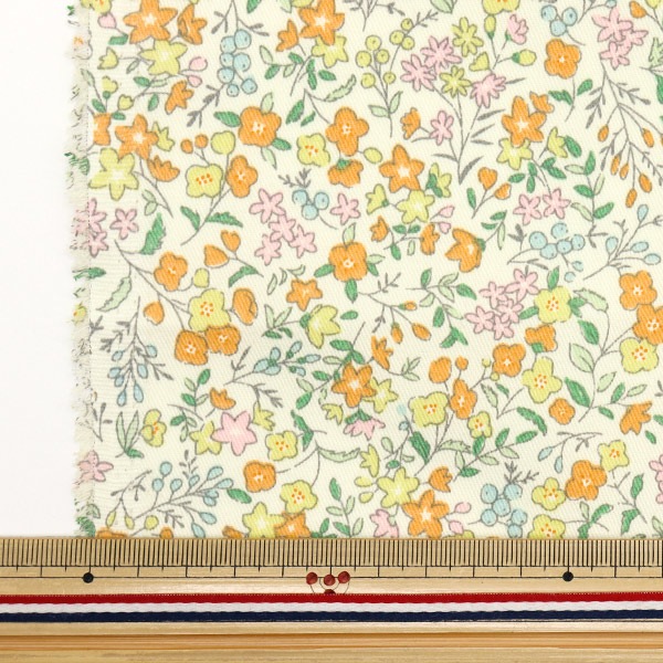 ws 真夏の太陽を浴びて 檸檬 PR+ Amazon.co.jp: Sohten 富士山蒼天の水 ラベルレス ミネラル