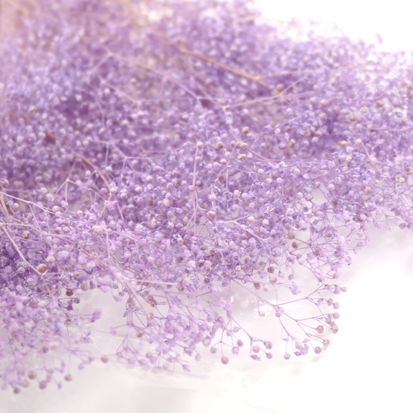 ¤�� ���륯�ե� �إ��եȥ��������