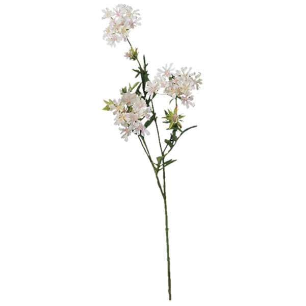 JURI♡様専用です♡】アンティーク ドライフラワー 花材 #60 【公式通販】