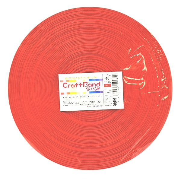 ��ݥХ�� �إ���ե��ѻ�Х�� ��50m 46�ֿ� �������� ��������