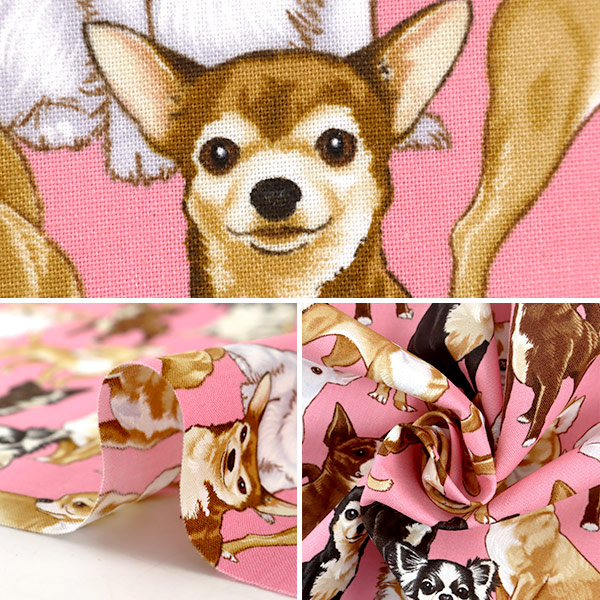 数量5から】 生地 『インクジェットプリント チワワ C3191-PINK』 USA