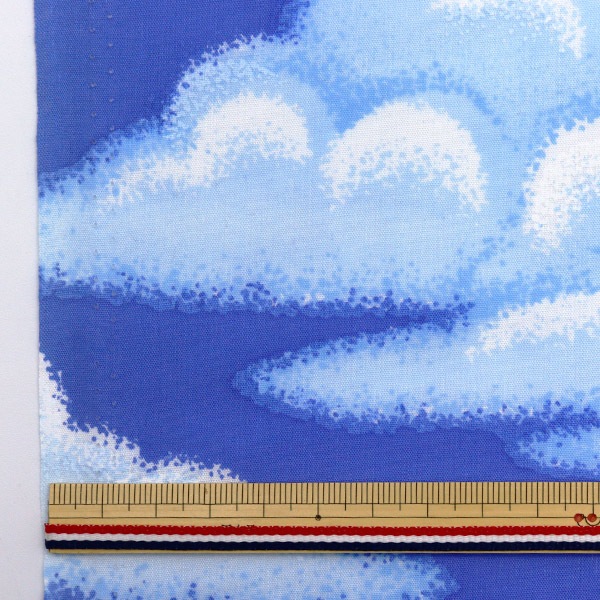 �ڿ���5����� ���� �إ������ץ��� WD300 300-1C����