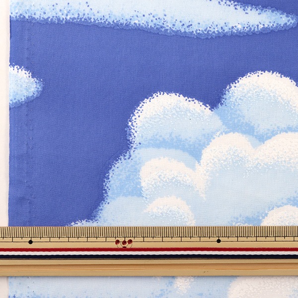 �ڿ���5����� ���� �إ������ץ��� WD300 300-1C����