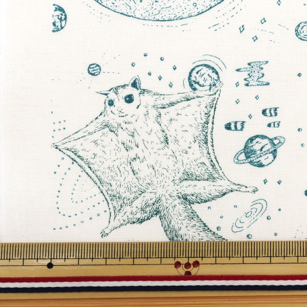 数量5から】 生地 『河野愛 綿麻 モモンガ ホワイト×ブルー KN4444845