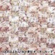 ڿ5  إХƥե֥å ʥ ϥͥࡼ󡦥ޥå 363J7413-25DU Liberty Japan Хƥѥ