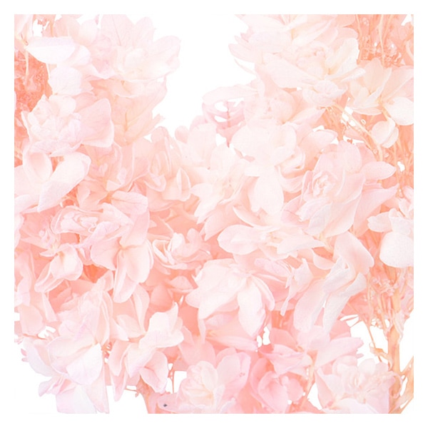 プリザーブドフラワー 『カシワバアジサイ ステム付き ホワイト