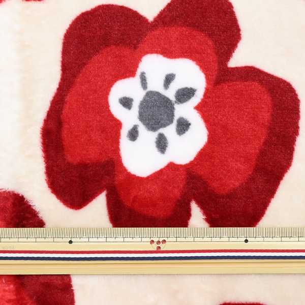 �ڽ������ϥ������ �ڿ���5����� ���� �إե��ͥ�ץ��� �ե� ��å� 150-1619-A1��