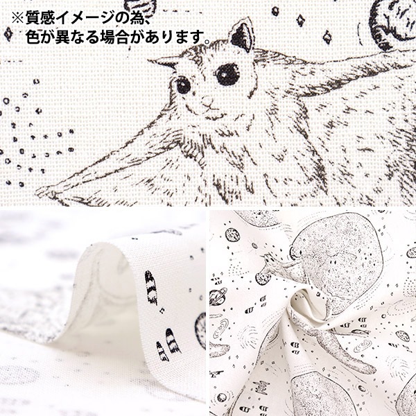 数量5から】 生地 『河野愛 綿麻 モモンガ ホワイト×ブルー×パープル