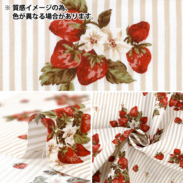 数量5から】 生地 『シーチング ストロベリーストライプ パープル