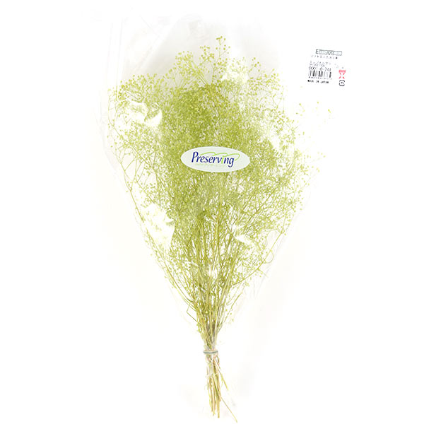 ¤�� ���륯�ե� �إ��եȥ��������