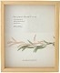 �� �إ����ȥܥå����ե졼�� BOX�ե졼�� ����ӥ��� 130��180mm �ʥ������ A.P.J ART PRINT JAPAN �����ȥץ��ȥ���ѥ�