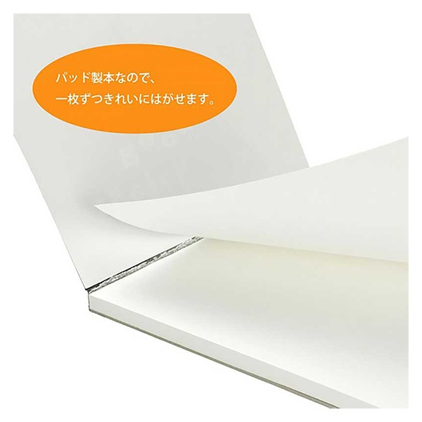 B4 サイズ　原画 画用紙 『図案シリーズ B4 スケッチブック 画用紙 並口 中性紙