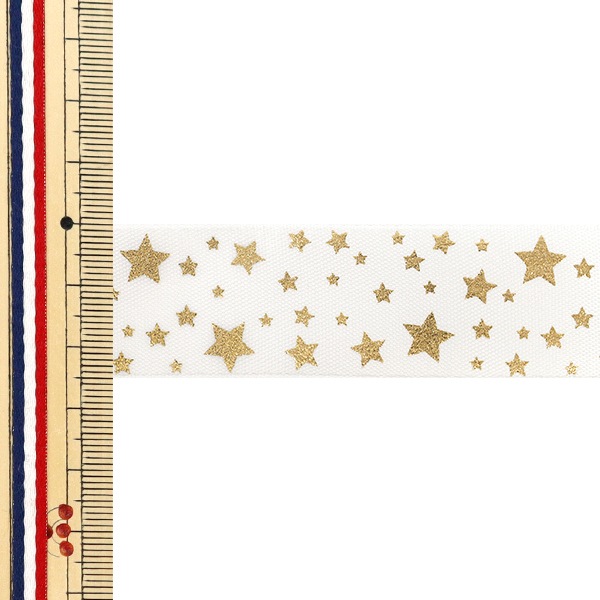 リボン 『箔押しリボン 2026 約幅25mm×長さ3m スター 29番色 YR-PIN
