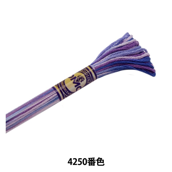1_000000108485.jpg