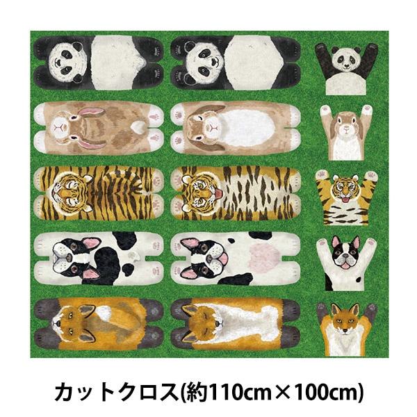 中国切手 動物 色々6セット 中国切手 動物 色々6セット Yahoo