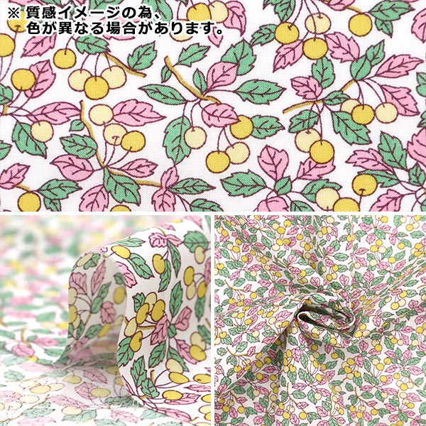 ファゴットリード（メディール5本） ファゴットリード（メディール5本） ファゴットリード 5本