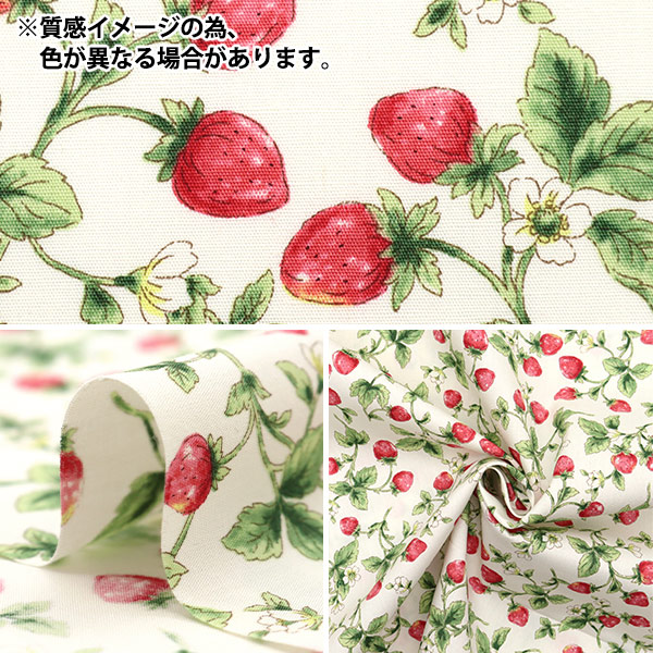 林田苺 数量5から】 生地 『ブロード いちご ブラック KTS7090-F
