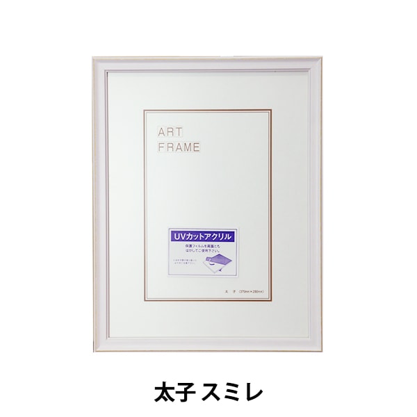 額 『フォルファーボックスフレーム A3サイズ シルバー』 A.P.J ART