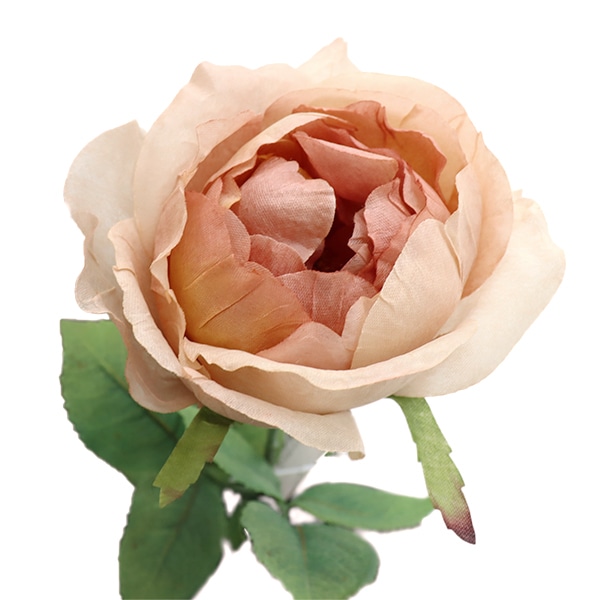 プリザーブドフラワー 『カスミソウ ピンク』 amifa アミファ すべての