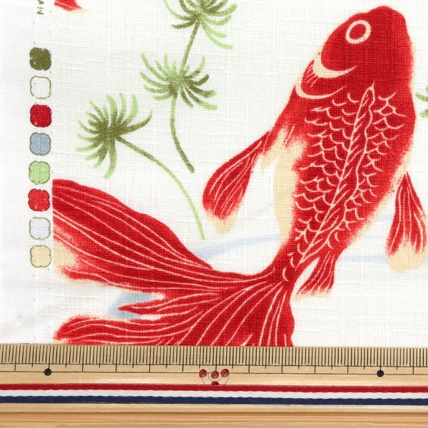 数量5から】 生地 『ドビー 和柄 金魚 オフ 1025-1100-2A』 生地,種類