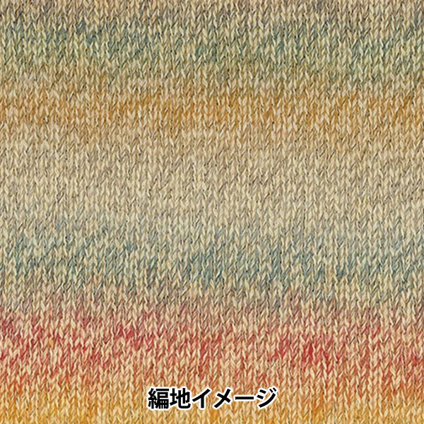 秋冬毛糸 『バカラ・クロッシェ 405番色』 Rich More リッチモア 毛糸_