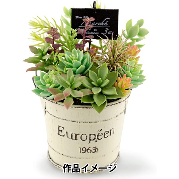 Ǵ MODENA (ǥ) 60g 303117 PADICO ѥ