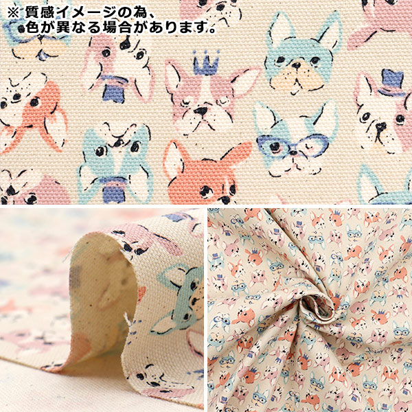希少/里親募集✴︎Blue witch フレンチブルドッグマグカップ