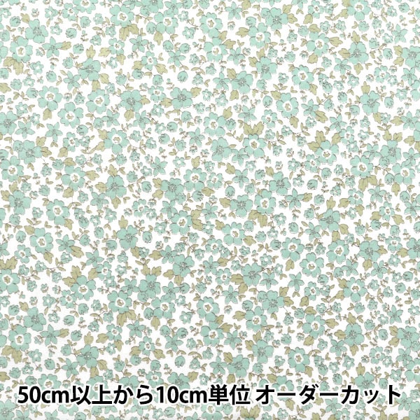 �ڿ���5����� ���� �إ����� ������ �֥롼 AP4780-1B��