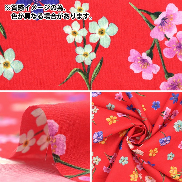 数量5から】 生地 『リバティ・ファブリックス タナローン フローラ