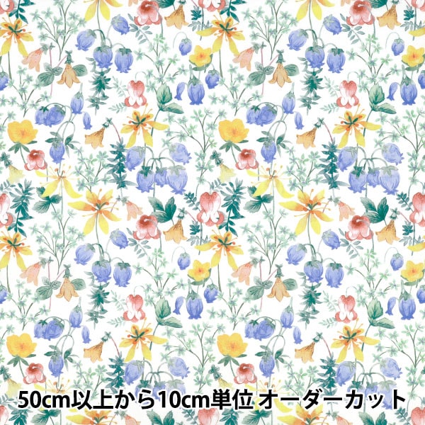 ��Хƥ����ե��֥�å��� ���ʥ����� �ϥ���