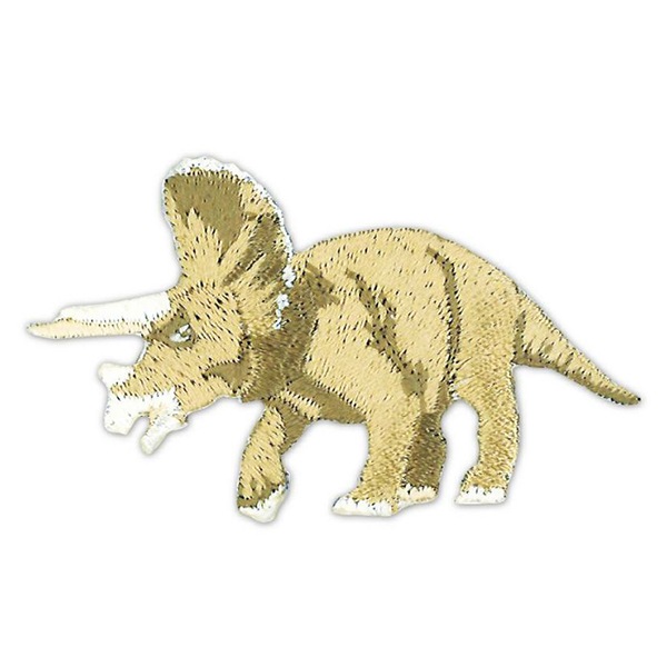 化石　D-15 化石 D-15