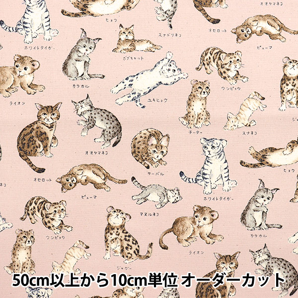 数量5から】 生地 『オックス 図鑑シリーズ 日本猫 紺 YPA-56030-2D