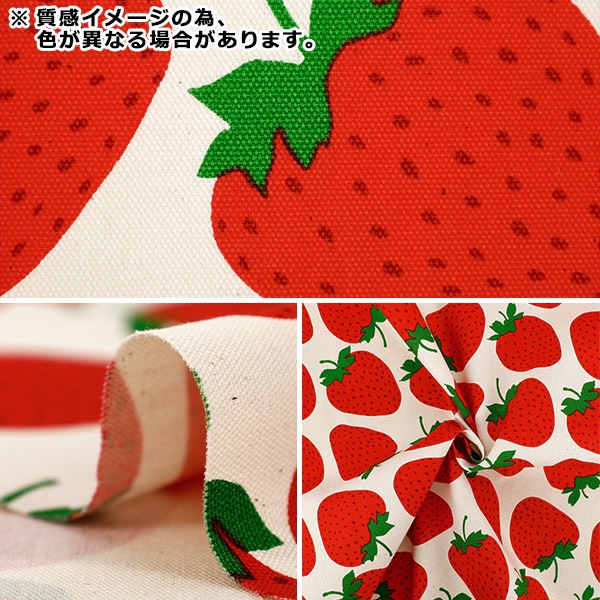 数量5から】 生地 『オックス ストロベリーパーティ いちごビッグ