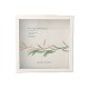 �� �إ����ȥܥå����ե졼�� BOX�ե졼�� 20�� 200��200mm �ۥ磻�ȡ� A.P.J ART PRINT JAPAN �����ȥץ��ȥ���ѥ�
