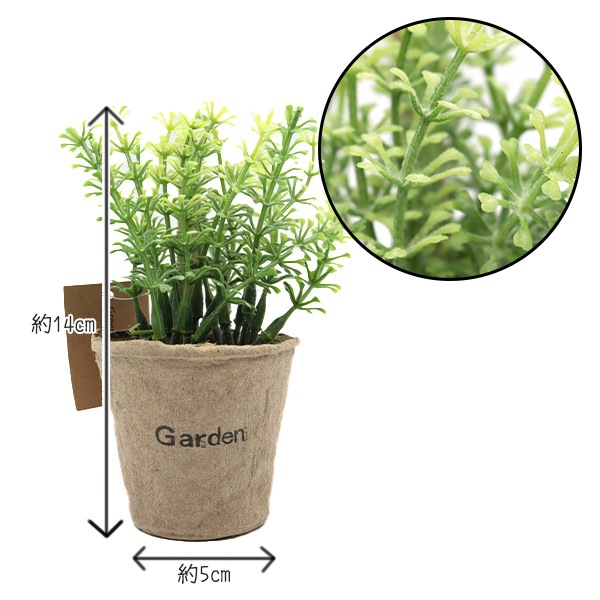 盆栽鉢 植木鉢 蘭鉢 緑 釉 洋ラン 胡蝶蘭 寄せ植え 観葉植物 多肉植物 山
