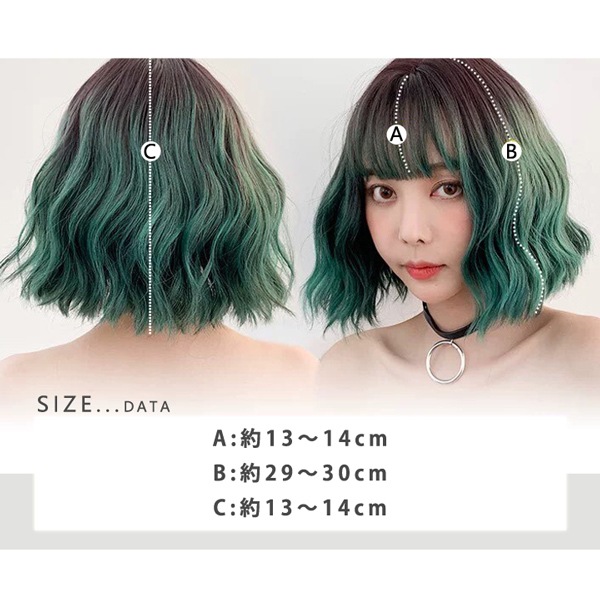 �����å� ��Tefure (�ƥե�) DOLLY�ܥ� �֥�å��ߥ��졼 D-3068�� Fujitatsu �ٻ�ã