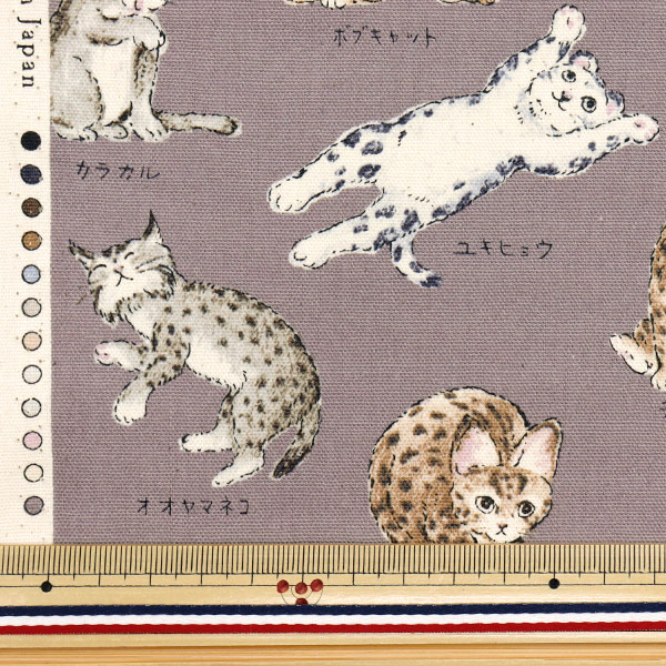 ねこ様　70枚 おわんさばず 250606 - YouTube