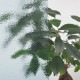 ���ƥ�ɥ��饹 �إ֥륺���� BUT-T1422��
