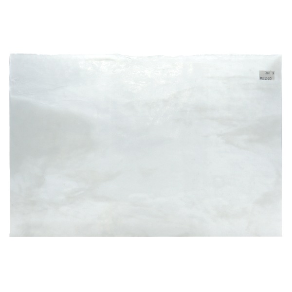 ���ƥ�ɥ��饹 �إ䥫���ˡ� UG-1100P��