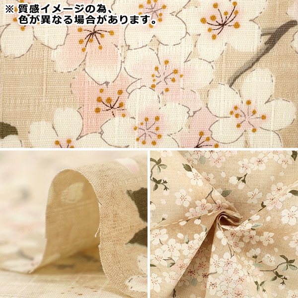�ڿ���5��������� �إ����󥯥��� �� �֥�å� KTS7148-F�� COTTON KOBAYASHI ���åȥ󤳤Ф䤷 ��������