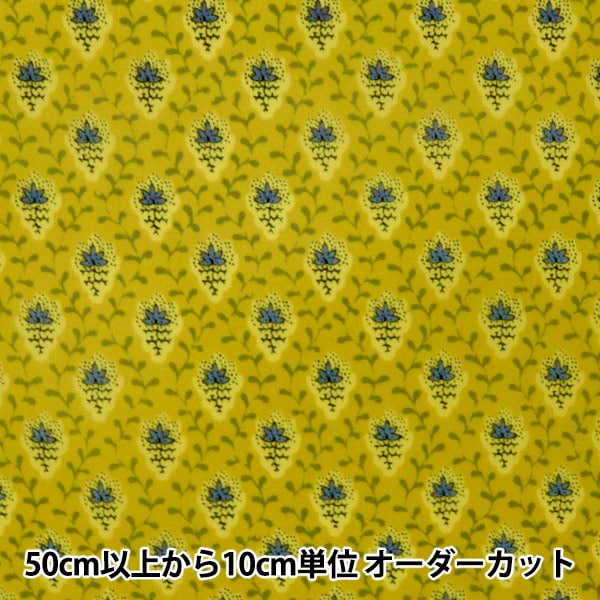 �ڿ���5����� ���� ��SOULEIADO ���쥤������ �ʥ�����ĥ��� �ץƥ��åȡ��ե롼�롦�ǡ������ �饤�।������ SLFN-518P��