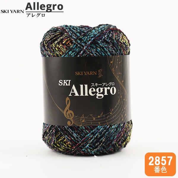 秋冬毛糸 『SKI Allegro (スキーアレグロ) 2857番色』 SKIYARN