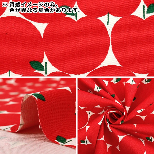 数量5から】 生地 『オックス 未晒コットン リンゴドット レッド
